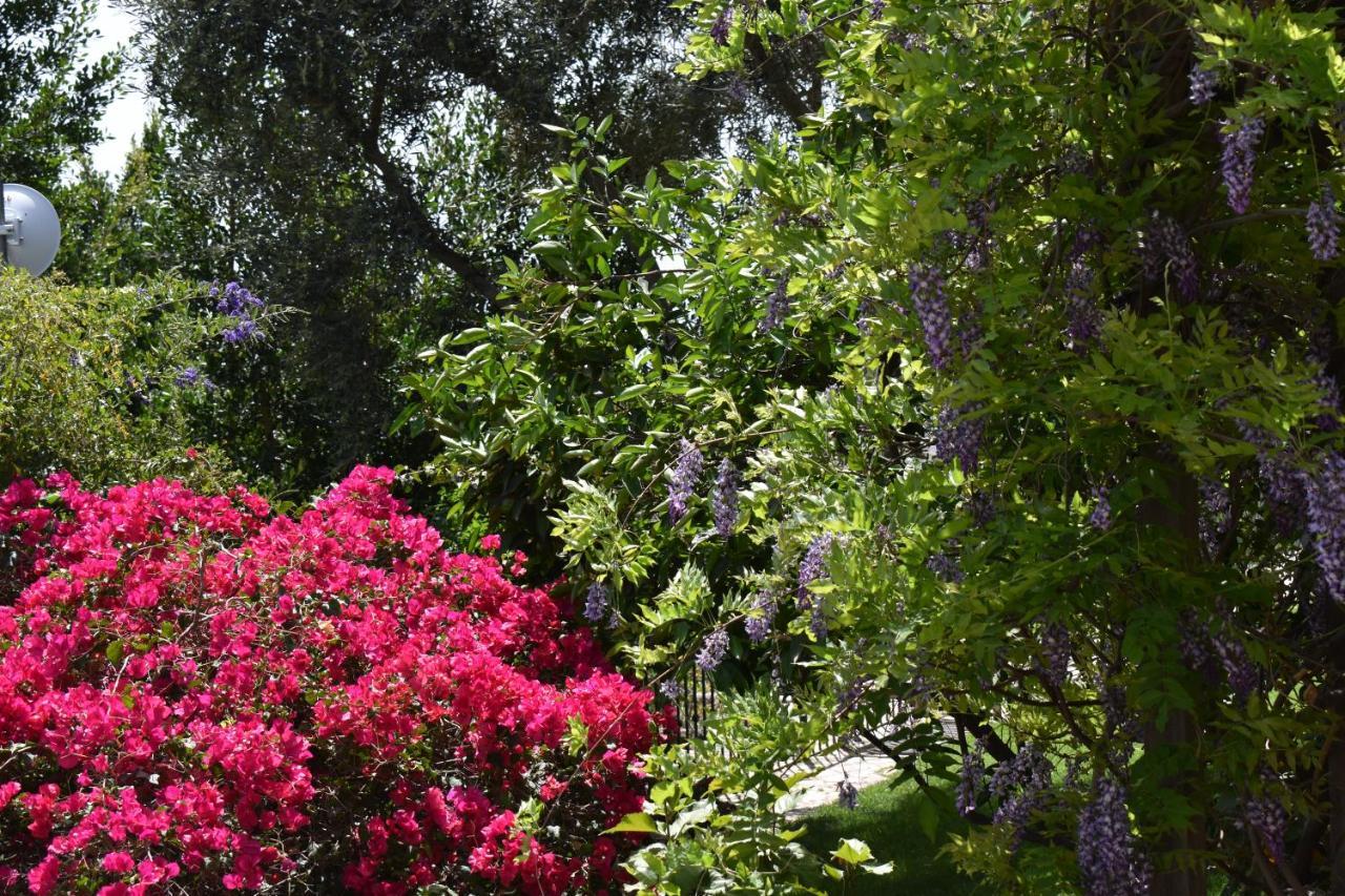 Romantica San Bartolomé エクステリア 写真