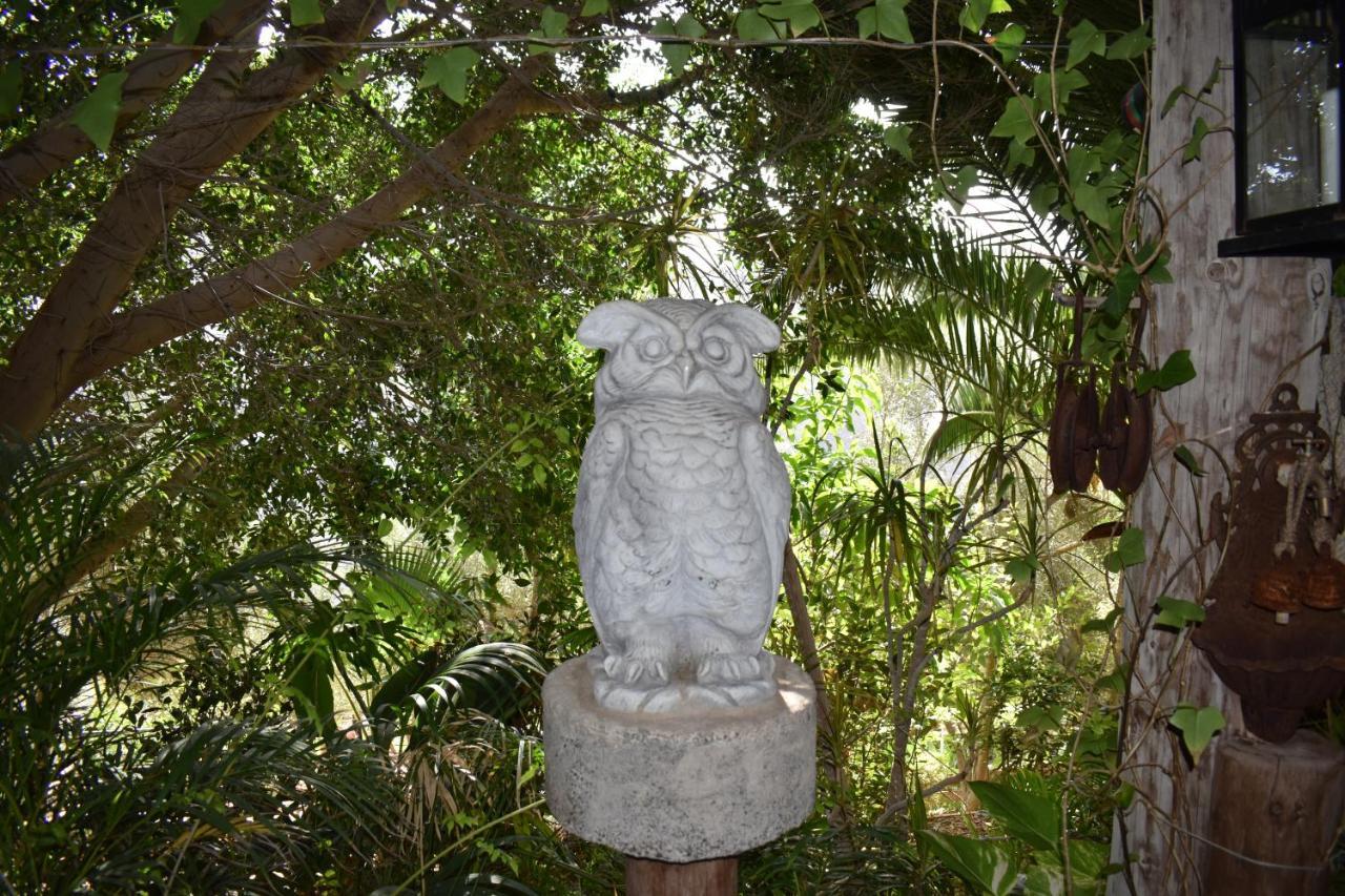 Romantica San Bartolomé エクステリア 写真